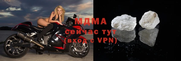 стаф Алзамай