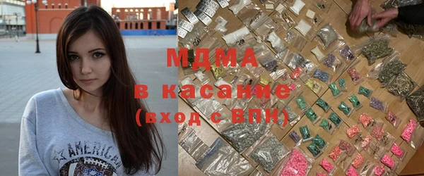 стаф Алзамай